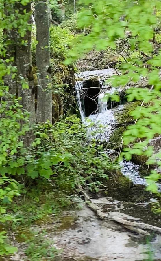 Auberge De Thelis Kültér fotó